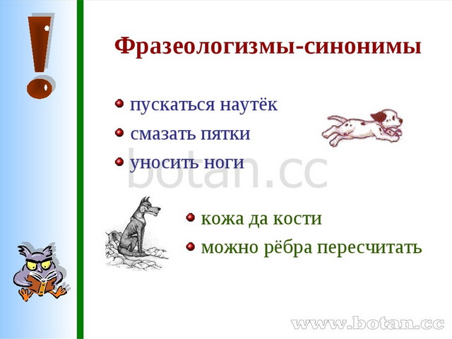 Не в зуб ногой значение фразеологизма. Синонимические фразеологизмы. Синонимические фразеологизмы примеры. Фразеологизмы синонимы. Фразеологизмы 6 класс.