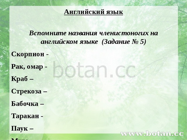 Английский язык Вспомните названия членистоногих на английском языке (Задание...