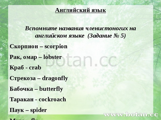 Английский язык Вспомните названия членистоногих на английском языке (Задание...