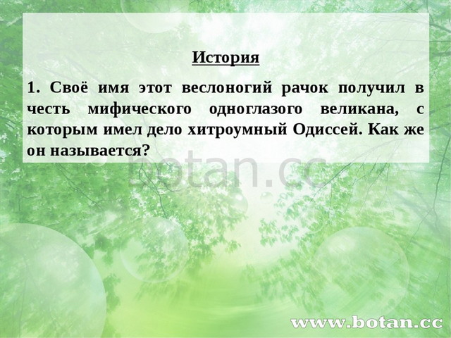 История 1. Своё имя этот веслоногий рачок получил в честь мифического одногл...