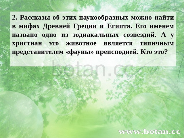 2. Рассказы об этих паукообразных можно найти в мифах Древней Греции и Египта...