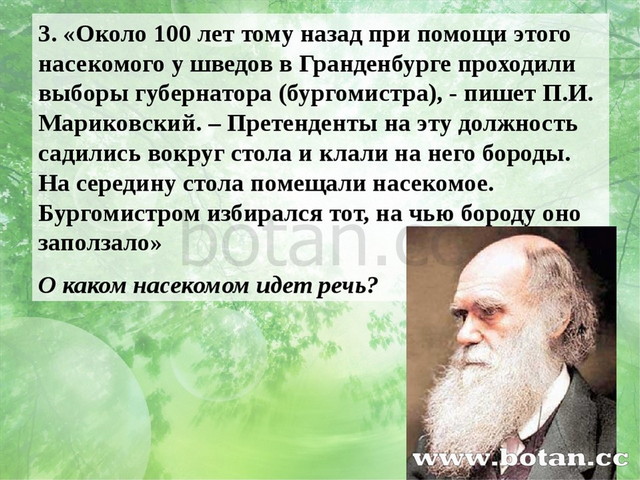 3. «Около 100 лет тому назад при помощи этого насекомого у шведов в Гранденбу...