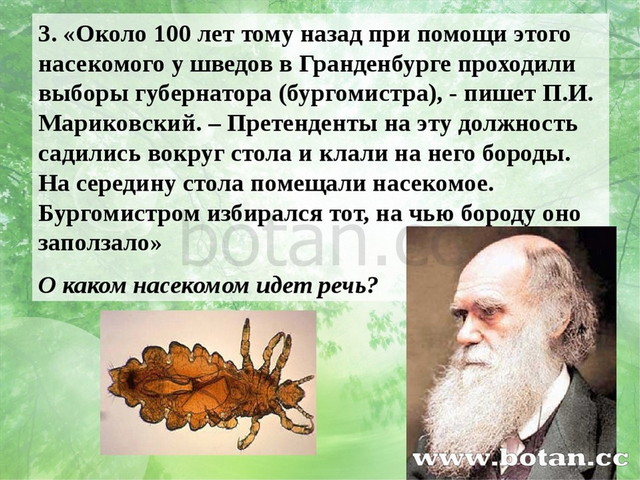 3. «Около 100 лет тому назад при помощи этого насекомого у шведов в Гранденбу...