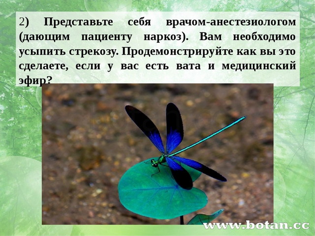 2) Представьте себя врачом-анестезиологом (дающим пациенту наркоз). Вам необх...