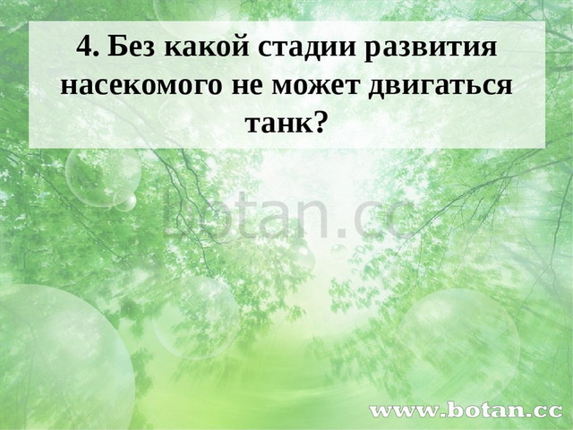 4. Без какой стадии развития насекомого не может двигаться танк? Ответ и фото...