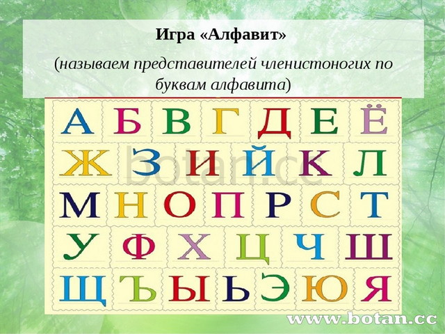 Игра «Алфавит» (называем представителей членистоногих по буквам алфавита)