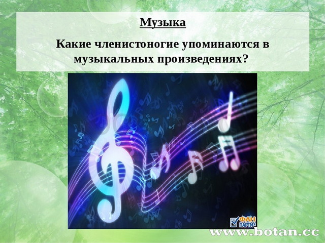 Музыка Какие членистоногие упоминаются в музыкальных произведениях?