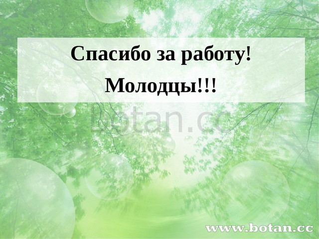 Спасибо за работу! Молодцы!!!