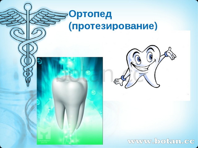 Проект по технологии 8 класс профессия стоматолог