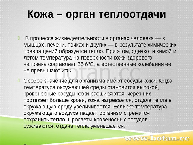 Кожа – орган теплоотдачи  В процессе жизнедеятельности в органах человека — в...