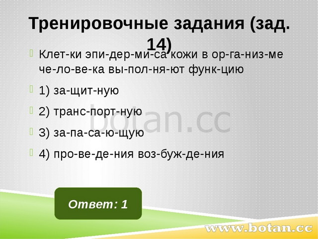 Тренировочные задания (зад. 14) Клет­ки эпи­дер­ми­са кожи в ор­га­низ­ме че­...