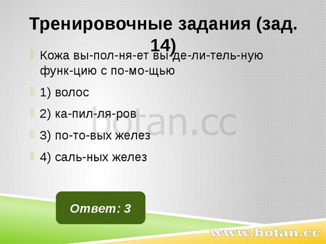 Тренировочные задания (зад. 14) Кожа вы­пол­ня­ет вы­де­ли­тель­ную функ­цию...