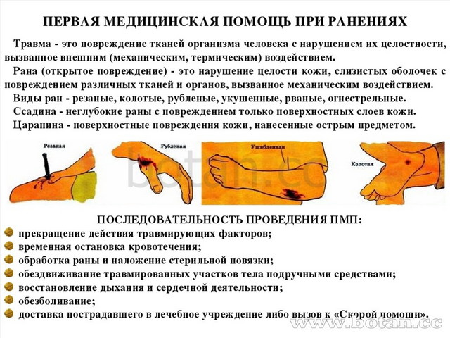 Пмп при травматическом шоке презентация