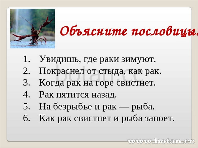 Роль человека в природе презентация по биологии