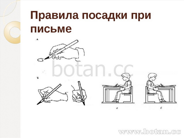 Посажу как пишется. Правильная посадка при письме. Правило посадки при письме. Правильная посадка за партой при письме. Посадка ребенка при письме.