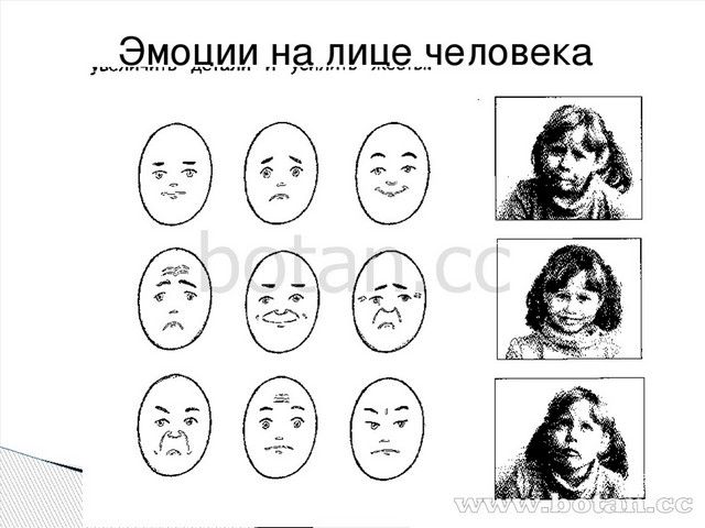 6 эмоций человека рисунок