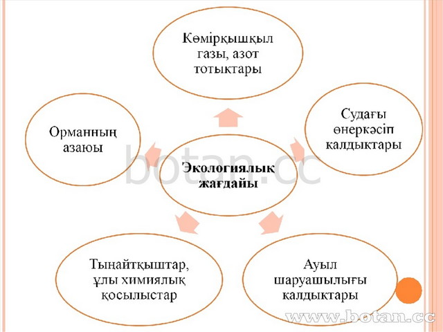 Реформацияның еуропа елдеріне таралуы презентация