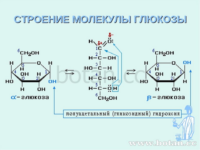 Глюкоза презентация 10 класс химия