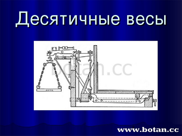 Рычаги в быту и живой природе картинки