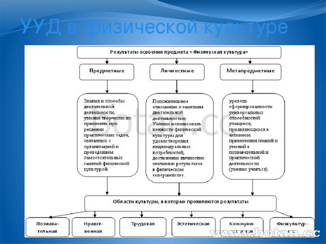 Самостоятельные занятия по общей физической подготовке презентация