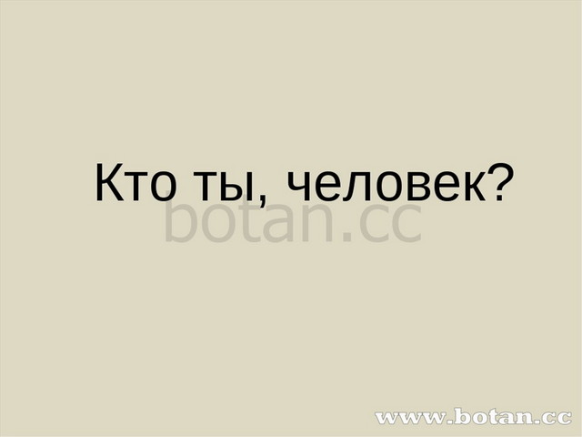 Доклад по теме Доказательства происхождения человека от животных 