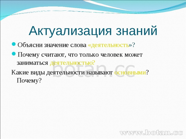 Человек занимающийся деятельностью называется. Человек занимающийся деятельностью называется