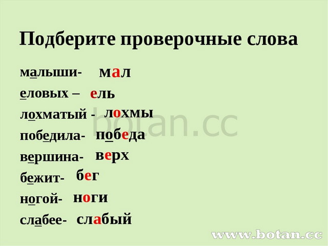 Подберите проверочные слова малыши- еловых – лохматый - победила- вершина- бе...