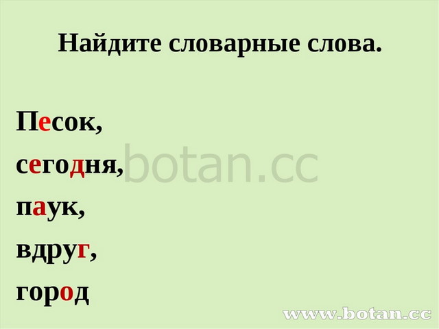 Найдите словарные слова. Песок, сегодня, паук, вдруг, город