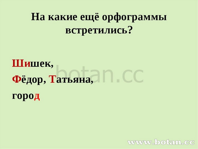 На какие ещё орфограммы встретились? Шишек, Фёдор, Татьяна, город