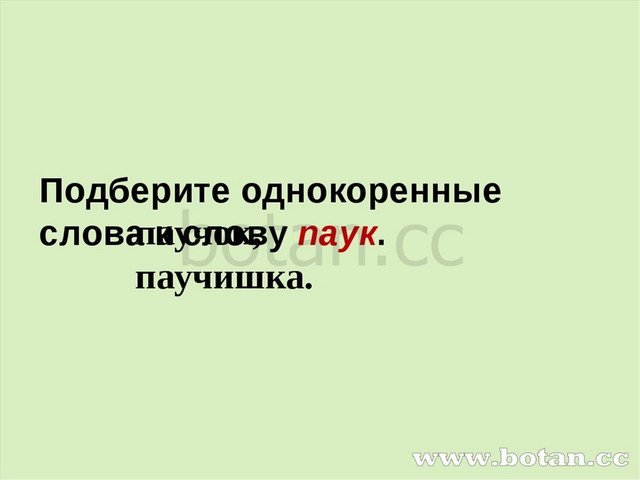 Подберите однокоренные слова к слову паук. паучок, паучишка.