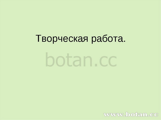 Творческая работа.