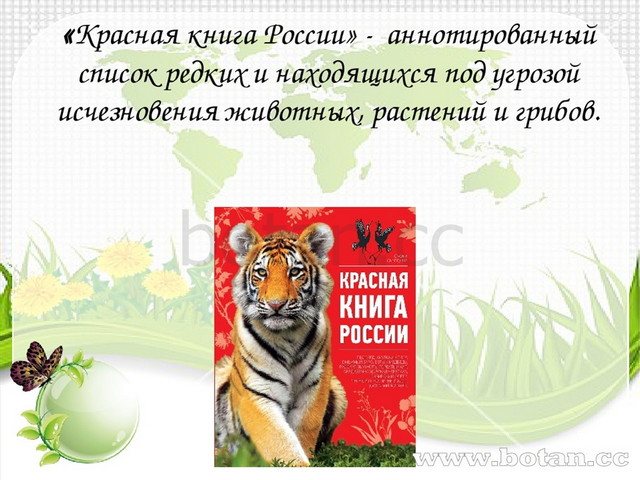 Проект по красной книге 5 класс