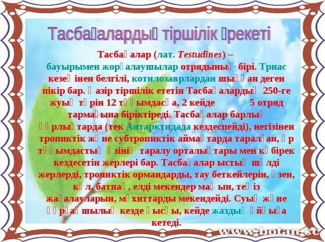 Ғылыми жоба тұздың құпиясы презентация