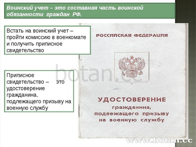 Презентация особенности правового статуса несовершеннолетних