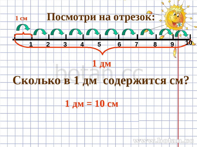 Ед отрезок