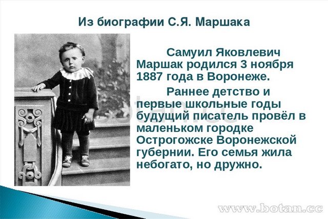 Краткая биография маршака. Самуил Маршак биография для 3 класса. С Я Маршак детство. Самуил Маршак интересные факты. Детские годы.с.я.Маршака.