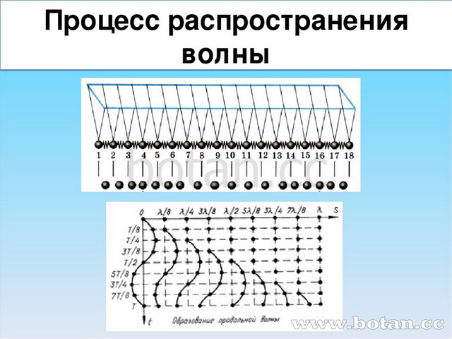 Волны физика 11. Распространение механических волн. Процесс распространения волны. Механические волны – это процесс распространения. Волновые явления распространение механических волн.