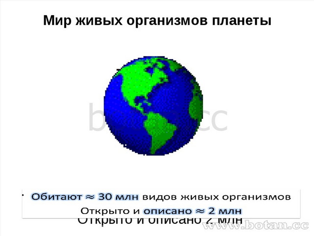 животный мир планеты. природа земли. животный мир планеты. планета земля живые организмы.