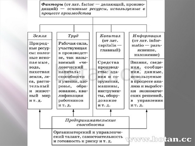 Сложный план на тему экономика как наука