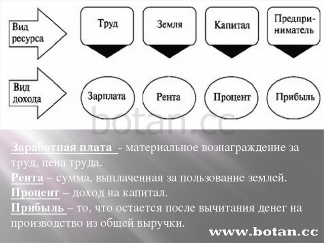 Сложный план на тему экономика как наука