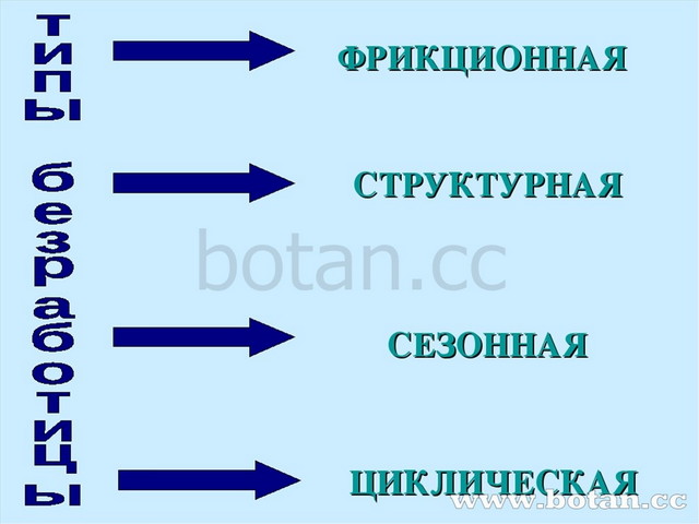 ФРИКЦИОННАЯ СТРУКТУРНАЯ ЦИКЛИЧЕСКАЯ СЕЗОННАЯ