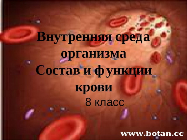 Презентация внутренняя среда организма 8 класс биология