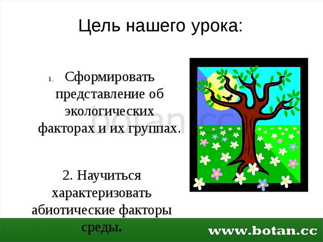 Основные закономерности устойчивости живой природы презентация