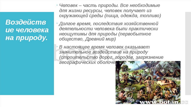 Человек часть природы 2 класс 21 век презентация и конспект