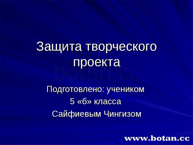 Творческий проект по технологии 5 класс кормушка