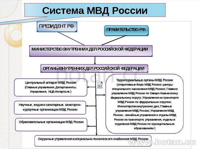 Спецсредства мвд презентация