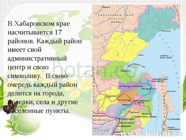 Презентация по географии хабаровский край