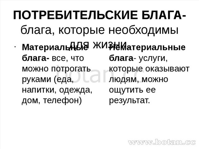 Человеческие блага. Потребительские блага. Примеры потребительских благ. Потребительские блага примеры. Потребительские юлаги.