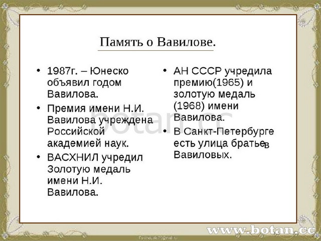 Н и вавилов презентация по биологии