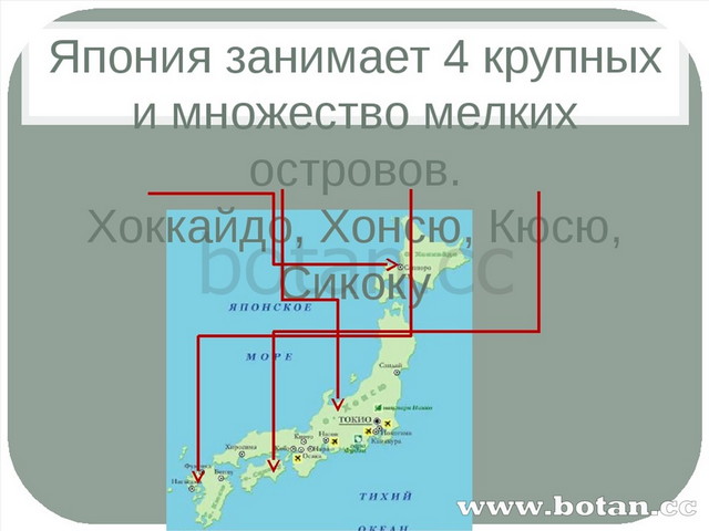 Характеристика японского моря по плану 9 класс